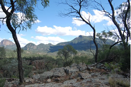 Warrumbungles
