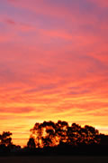 Sunset Jubilee Oval